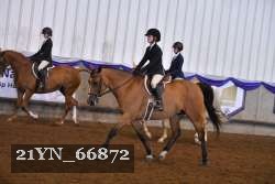 21YN_66872 thumbnail