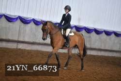 21YN_66873 thumbnail