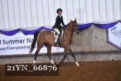 21YN_66876 thumbnail