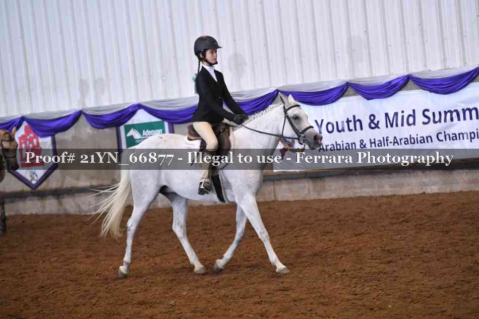 Proof Number 21YN_66877