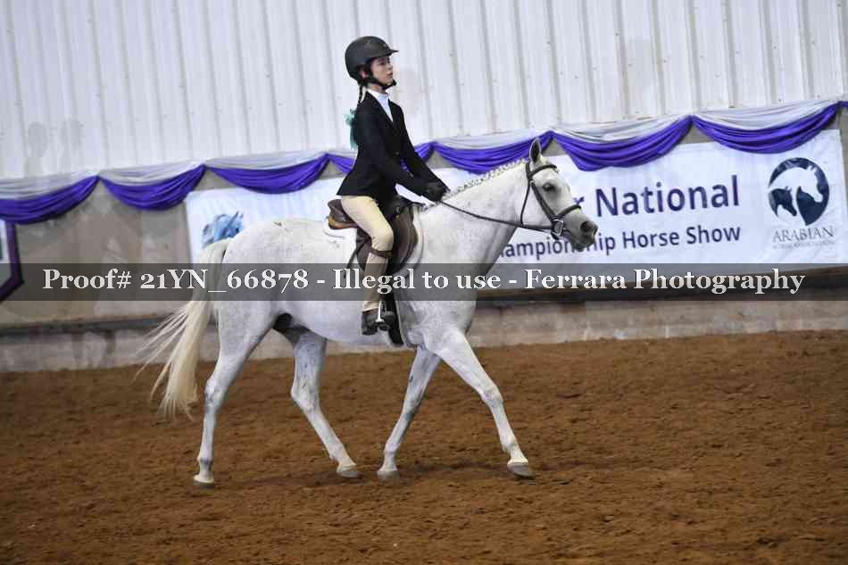 Proof Number 21YN_66878