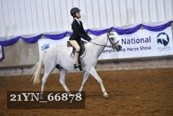 21YN_66878 thumbnail