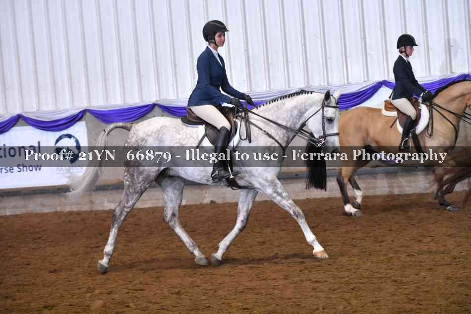 Proof Number 21YN_66879