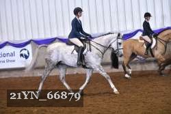 21YN_66879 thumbnail