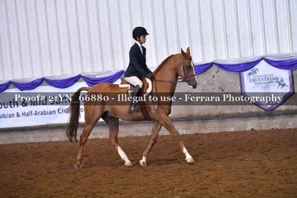 Proof Number 21YN_66880