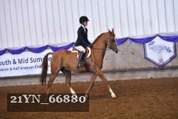 21YN_66880 thumbnail