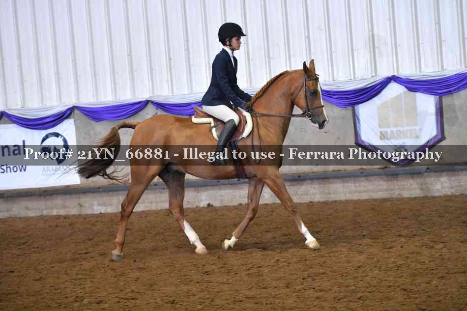 Proof Number 21YN_66881