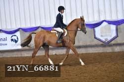 21YN_66881 thumbnail