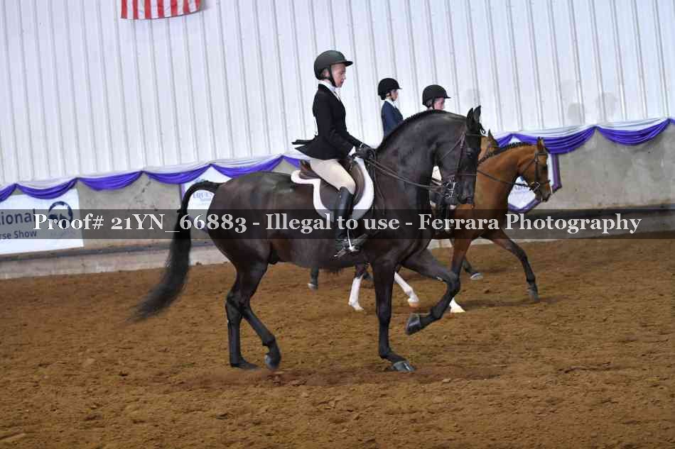 Proof Number 21YN_66883