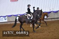 21YN_66883 thumbnail