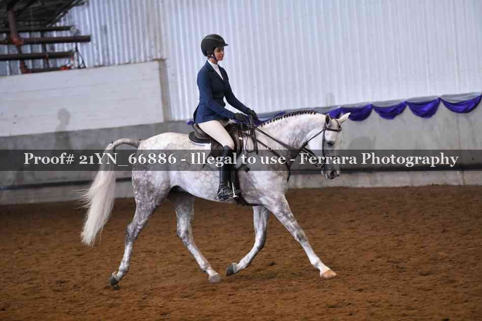 Proof Number 21YN_66886