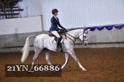 21YN_66886 thumbnail