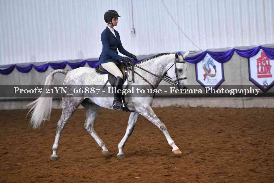 Proof Number 21YN_66887