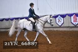 21YN_66887 thumbnail