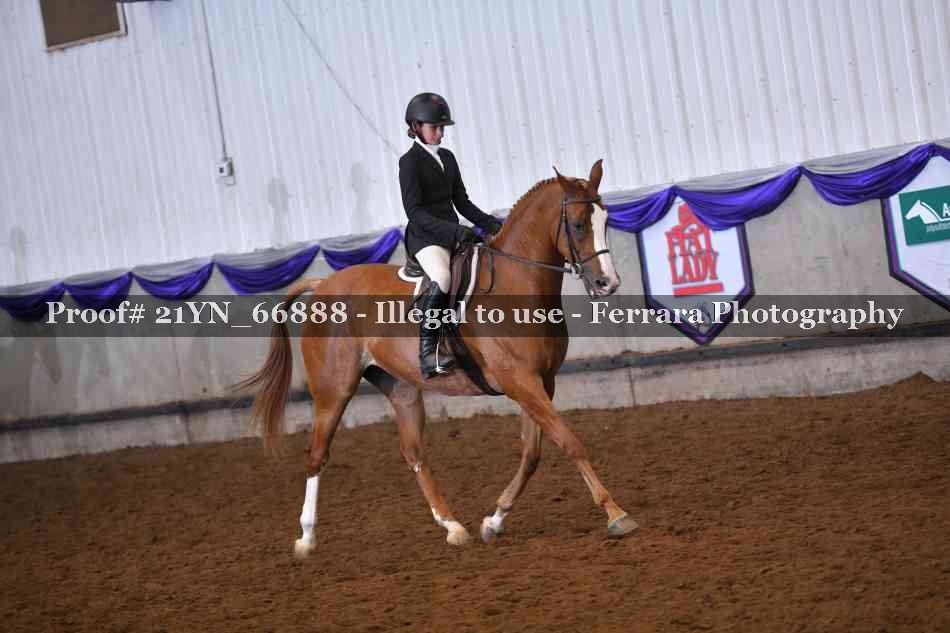 Proof Number 21YN_66888