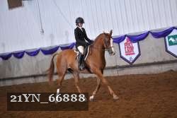 21YN_66888 thumbnail