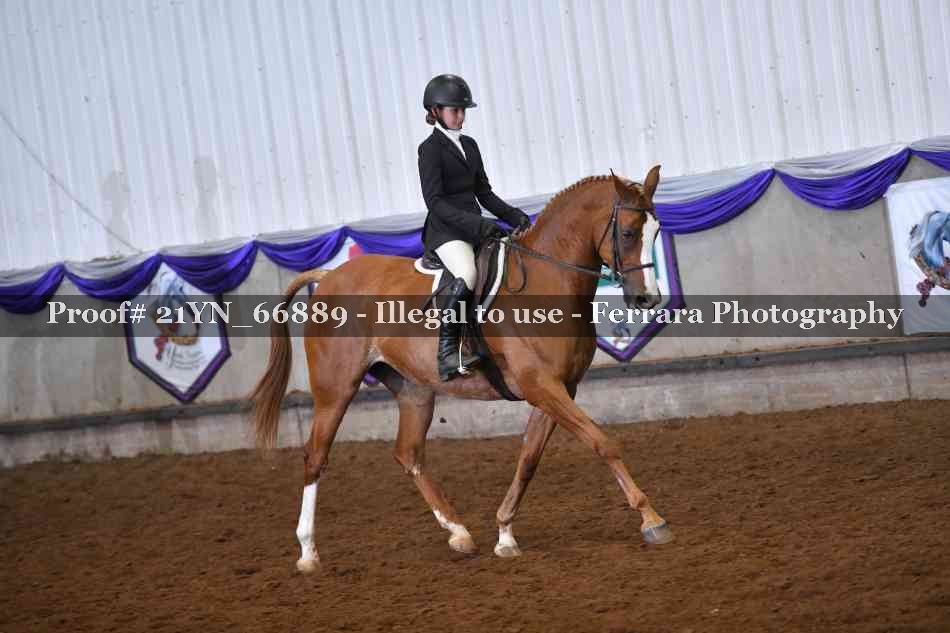 Proof Number 21YN_66889