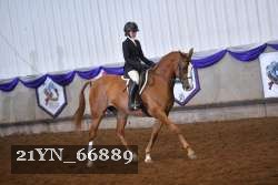 21YN_66889 thumbnail