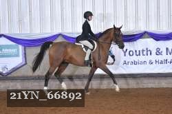 21YN_66892 thumbnail