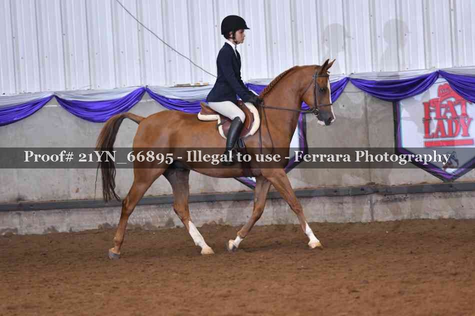 Proof Number 21YN_66895