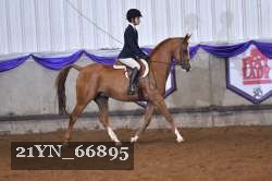21YN_66895 thumbnail