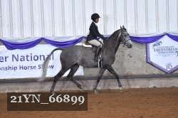 21YN_66899 thumbnail