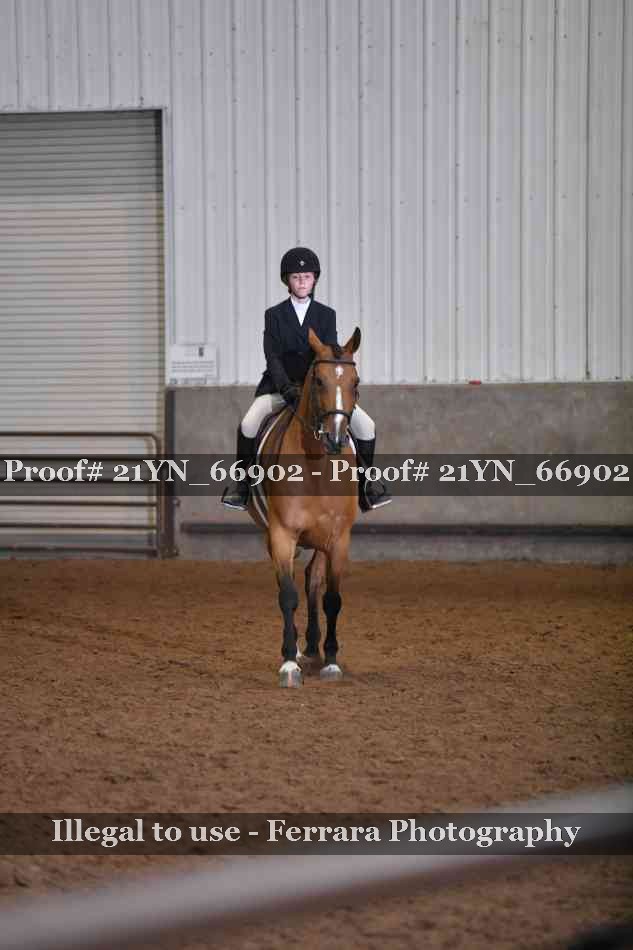 Proof Number 21YN_66902