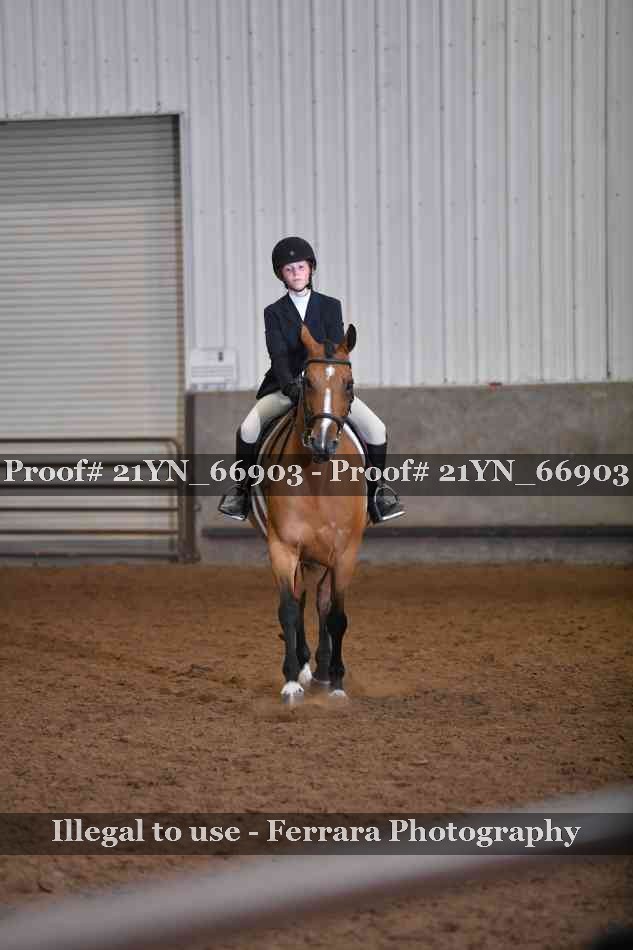 Proof Number 21YN_66903