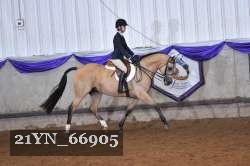 21YN_66905 thumbnail