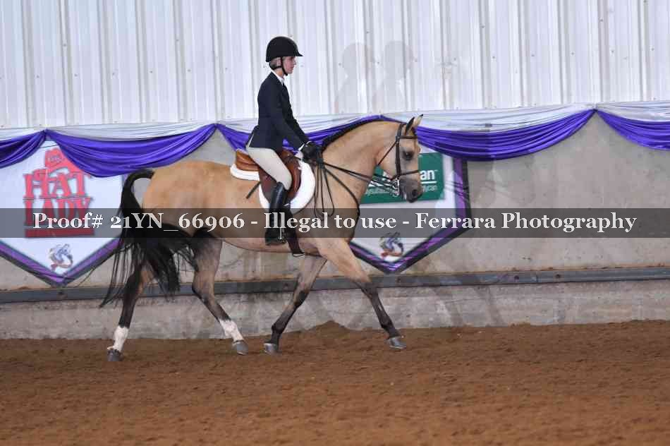 Proof Number 21YN_66906