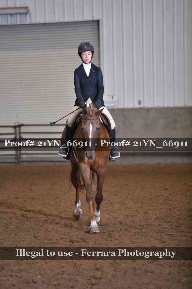 Proof Number 21YN_66911