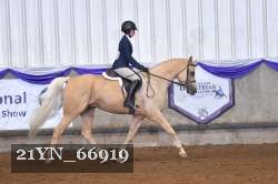 21YN_66919 thumbnail