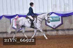 21YN_66922 thumbnail