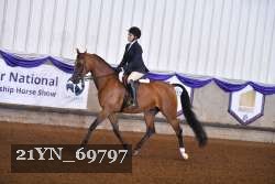 21YN_69797 thumbnail