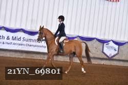 21YN_69801 thumbnail