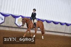 21YN_69805 thumbnail