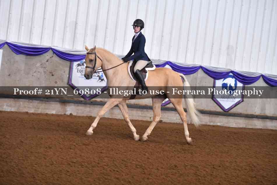 Proof Number 21YN_69808
