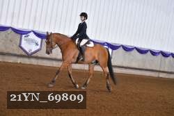 21YN_69809 thumbnail