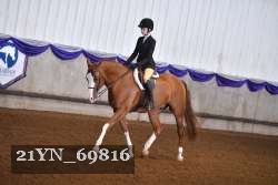 21YN_69816 thumbnail