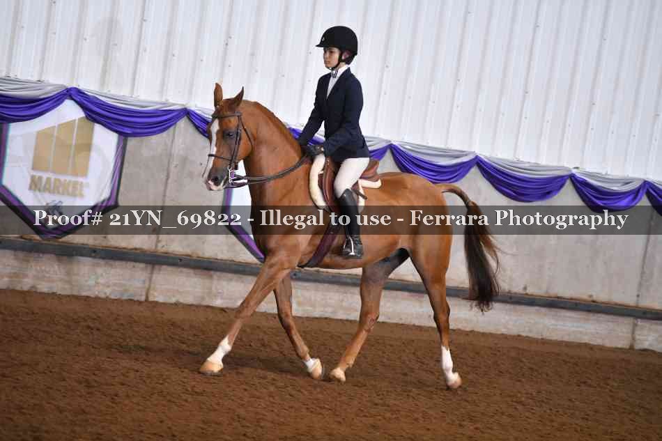 Proof Number 21YN_69822