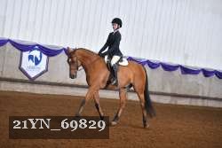 21YN_69829 thumbnail