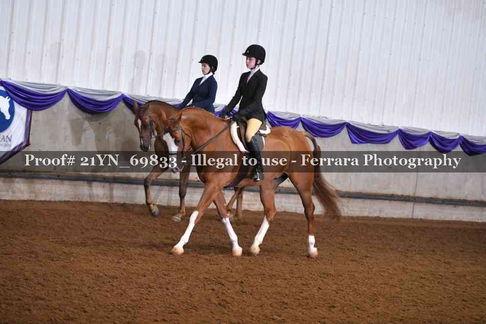 Proof Number 21YN_69833