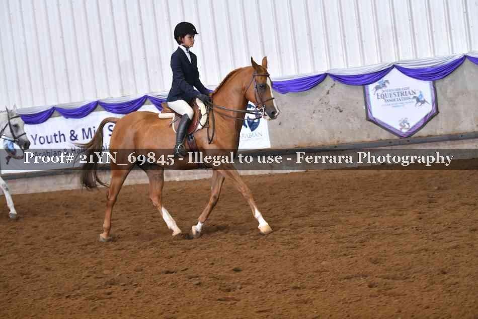 Proof Number 21YN_69845