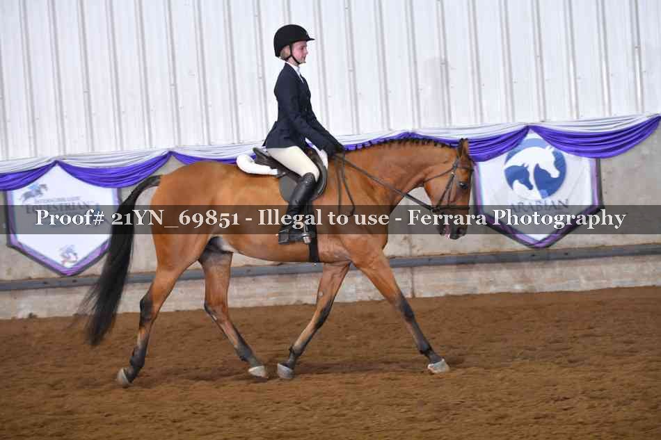 Proof Number 21YN_69851