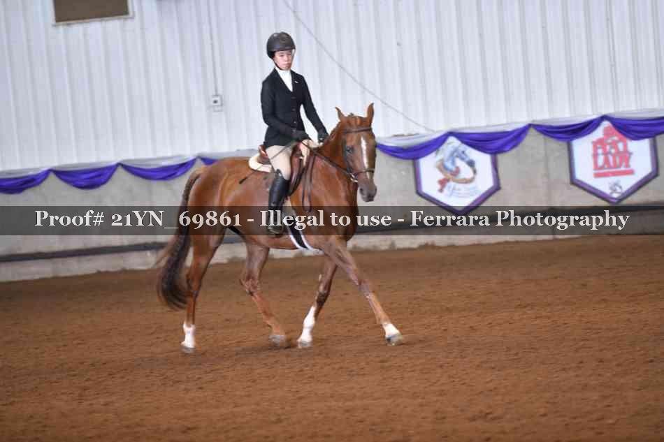 Proof Number 21YN_69861