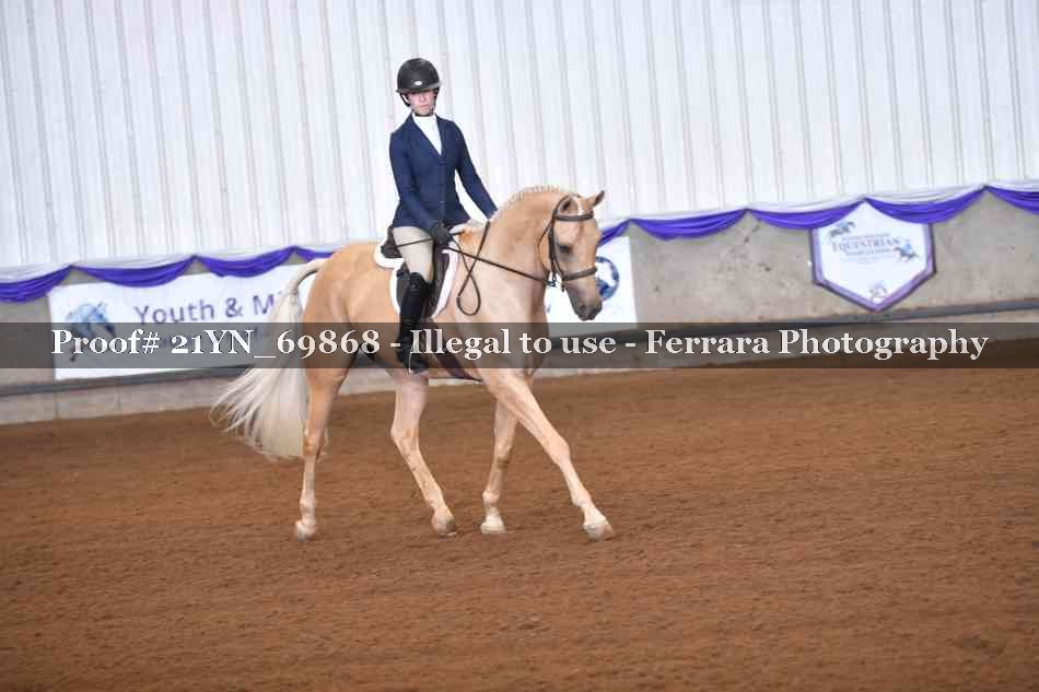 Proof Number 21YN_69868