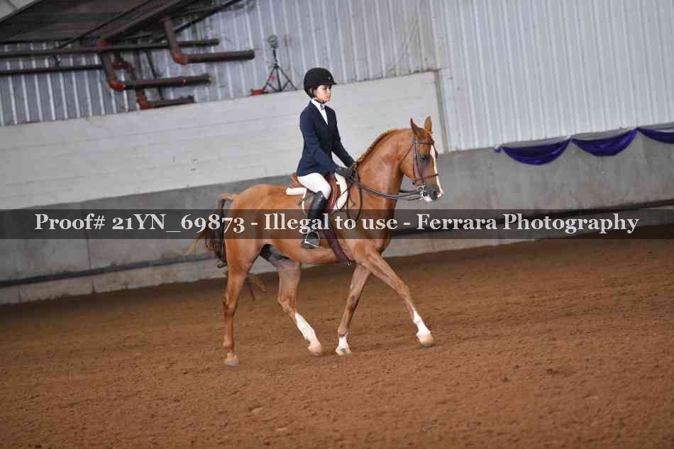 Proof Number 21YN_69873