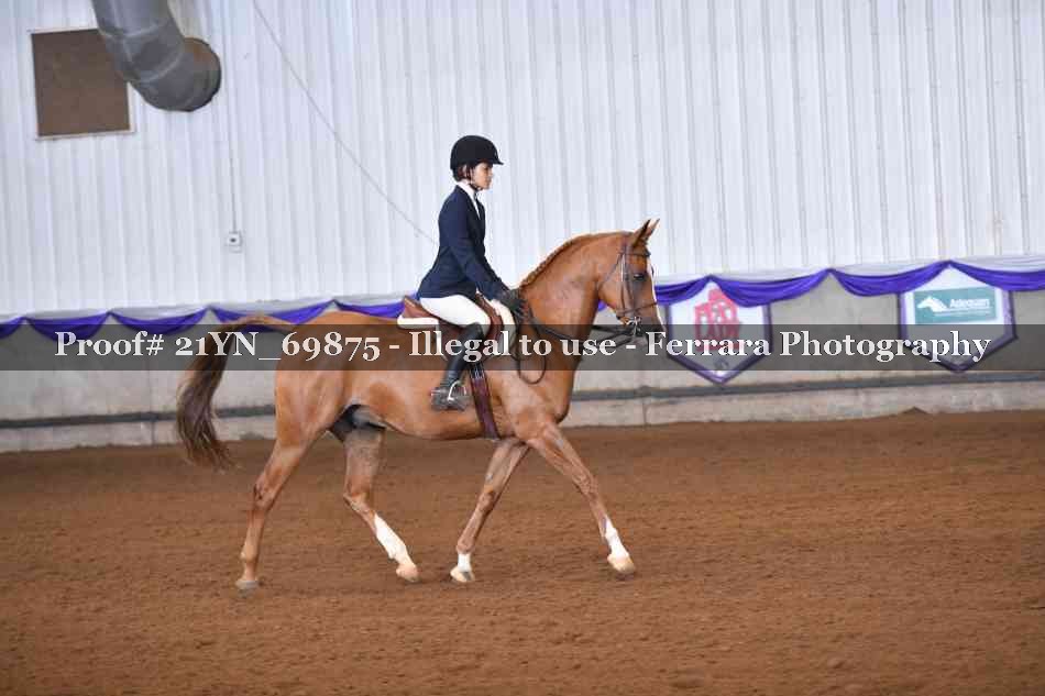 Proof Number 21YN_69875