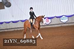 21YN_69883 thumbnail