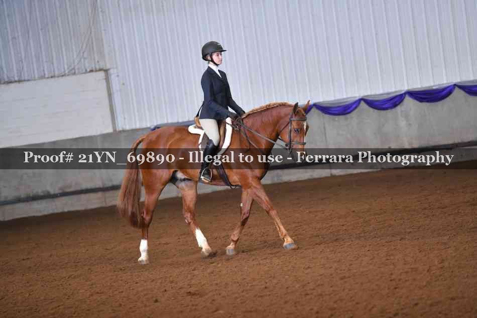 Proof Number 21YN_69890
